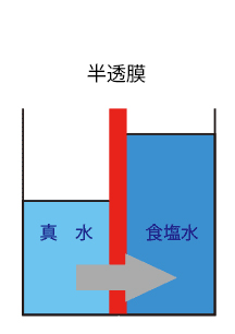 逆浸透膜の説明